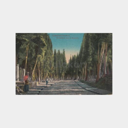 1900 Üsküdar Mezarlık Konulu Eski Kartpostal