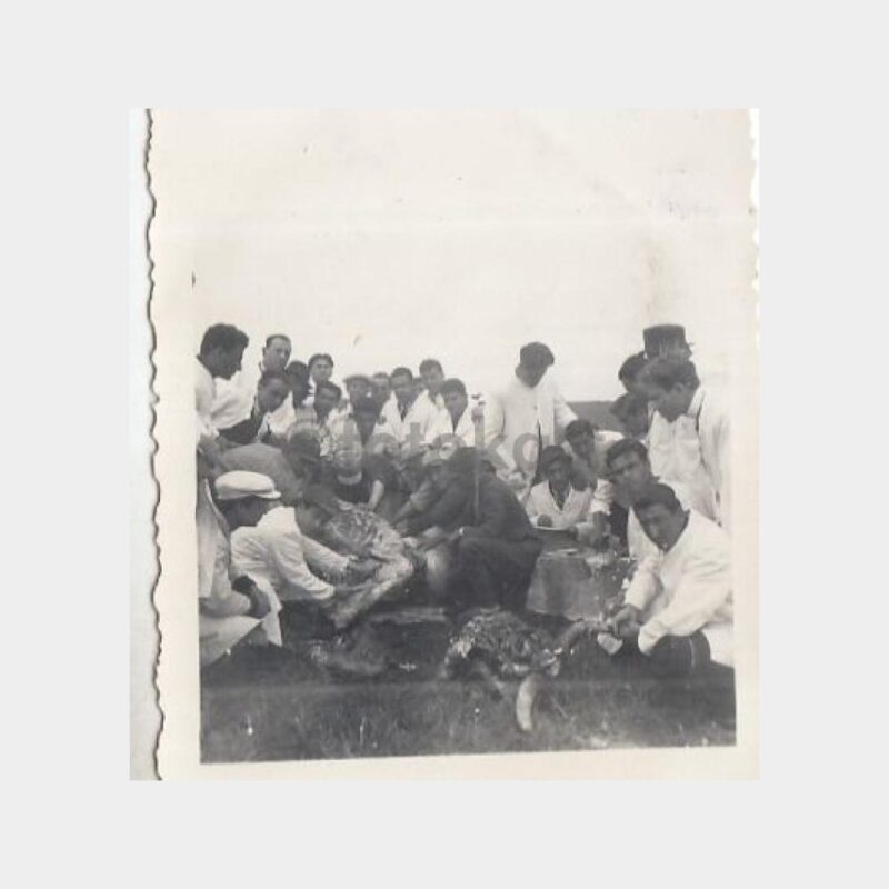 1939 Veteriner Fakültesi Konulu 5 Adet Fotoğraf - Görsel 2