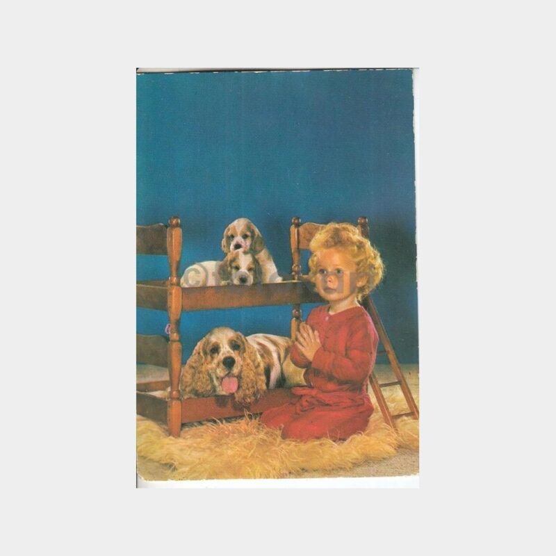 Çocuk Fantezi Sevimli Köpekler Konulu Kartpostal