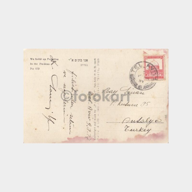 1939 Filistin Pulu Üzerinde Tel Aviv Damgalı Kartpostal