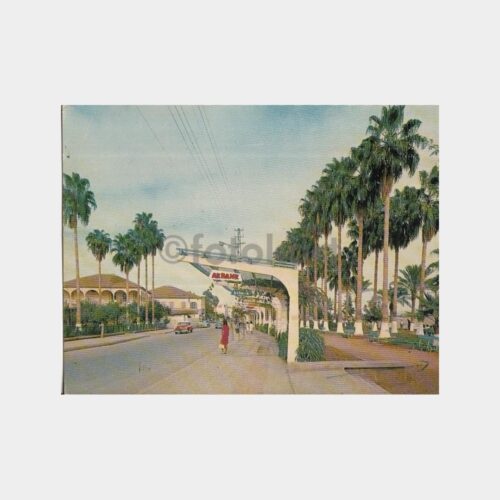 1965 Mersin Atatürk Caddesi Görünüş Kartpostal