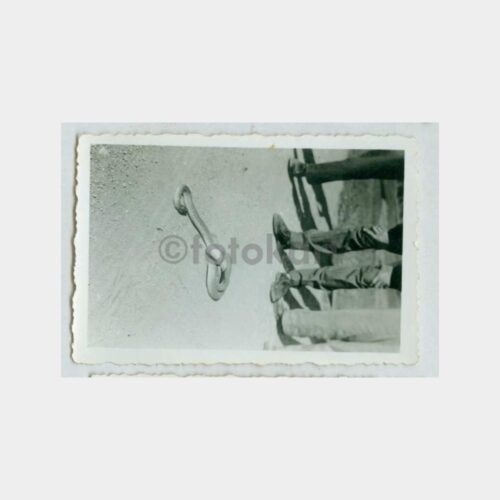1950 Alacahöyük Yolda Yılan Fotoğraf