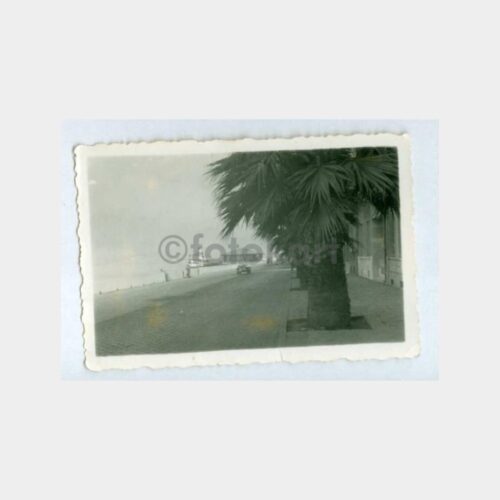 1950 Boğaziçi Vapuru Görünüş Fotoğraf