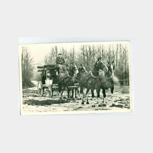 İstanbul - Rotterdam Faytonu Kartpostal