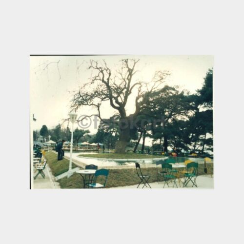 1989 Boğaziçi Fethipaşa Korusu Fotoğraf