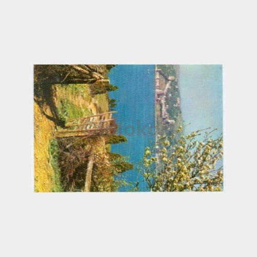 1963 Boğaziçi Hisar Görünüş Kartpostal