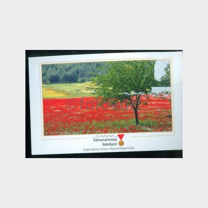2012 Kahramanmaraş Konulu Kartpostal