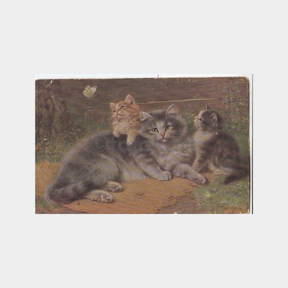 1930 Kedi Konulu Yabancı Baskılı Kartpostal