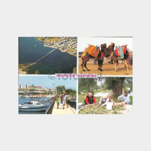 Altınova Muhtelif Görünüş Kartpostal