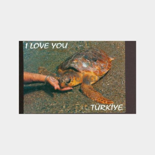 1990 Dalyan Caretta Caretta Kablumbağa Kartpostal