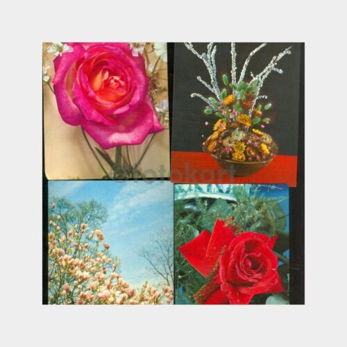 1975 Çiçek Konulu Tebrik Kartpostal (4 Adet)