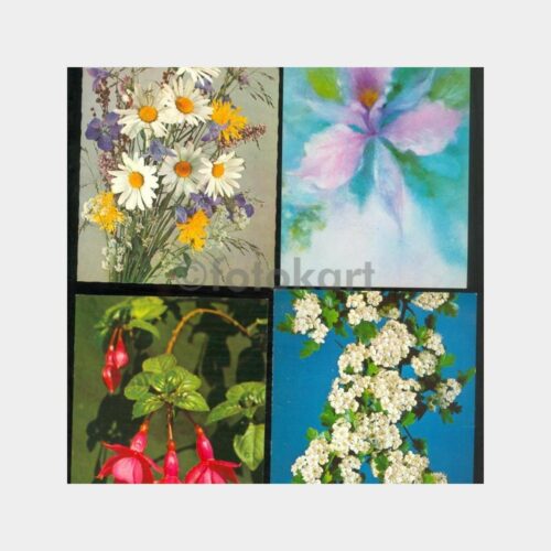 1975 Çiçek Konulu Tebrik Kartpostal (4 Adet)