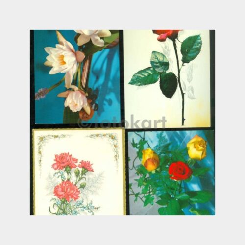 1975 Çiçek Konulu Tebrik Kartpostal (4 Adet)
