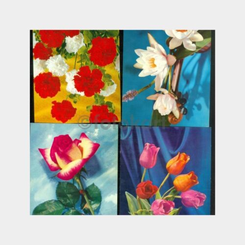 1975 Çiçek Konulu Tebrik Kartpostal (4 Adet)