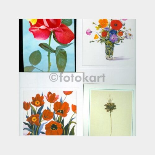 1975 Çiçek Konulu Tebrik Kartpostal (4 Adet)