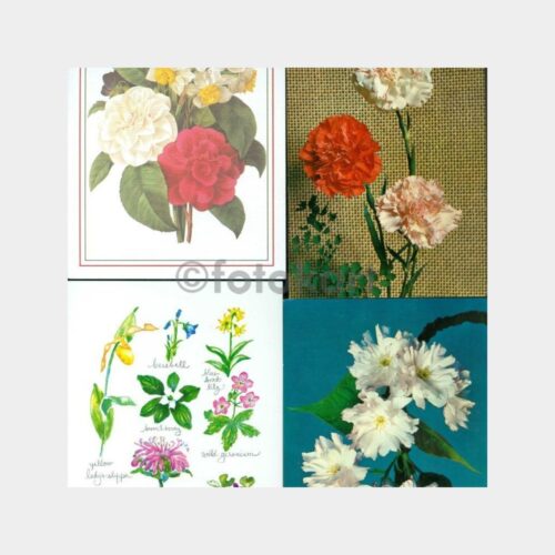 1975 Çiçek Konulu Tebrik Kartpostal (4 Adet)