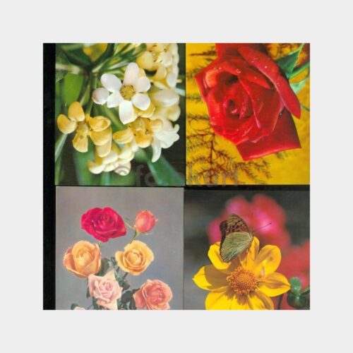 1975 Çiçek Konulu Tebrik Kartpostal (4 Adet)