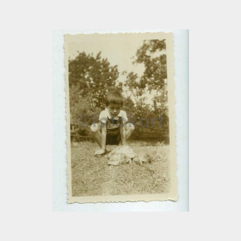 1936 Çocuk ve Kablumbağalar Fotoğraf