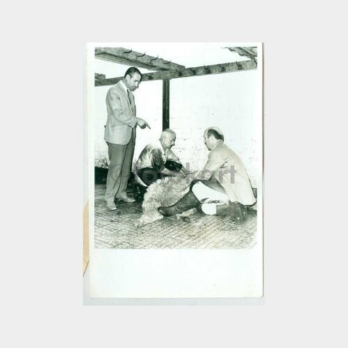 1968 İstanbul Mezbahası Yılın Kasabı Fotoğraf