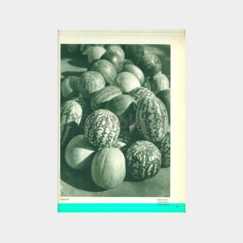 1934 Basın Yayın Albümü - Kavun Karpuz Resim