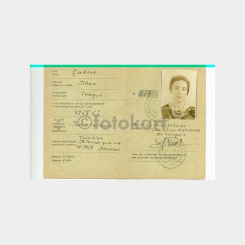 1965 Avrupa Konseyi Kültür Kom Kimlik Kartı