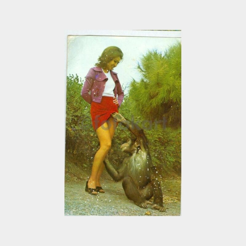 1970 Fantezi Kadın ve Şakacı Maymun Kartpostal