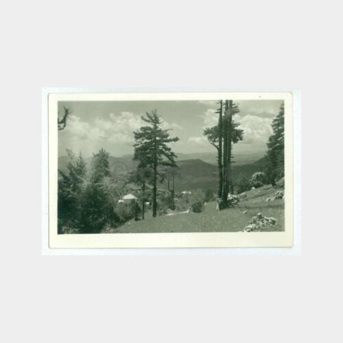1948 Toroslar Yayla Köyleri Görünüş Fotoğraf