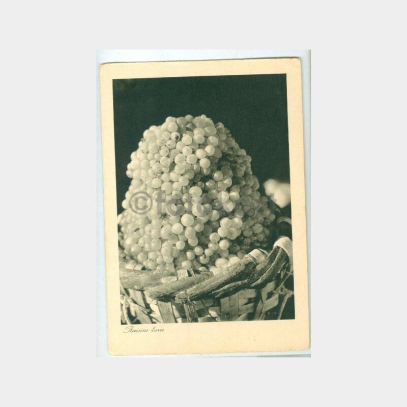 1940 Türk Üzümü Konulu -Basın Yayın- Kartpostal