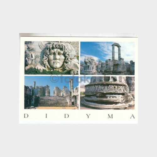 didyma-02