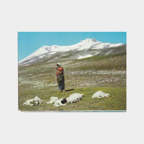 1975 Kayseri Erciyes Dağı Kartpostal