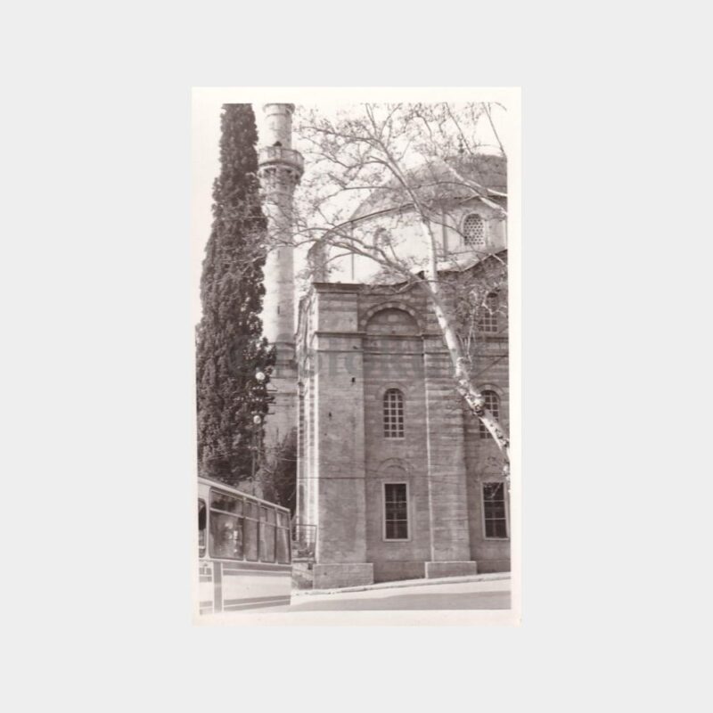 cami-avlusu