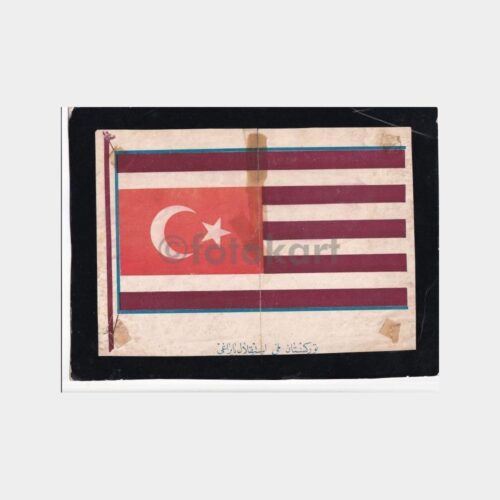 turkistan-birligi-bayrak