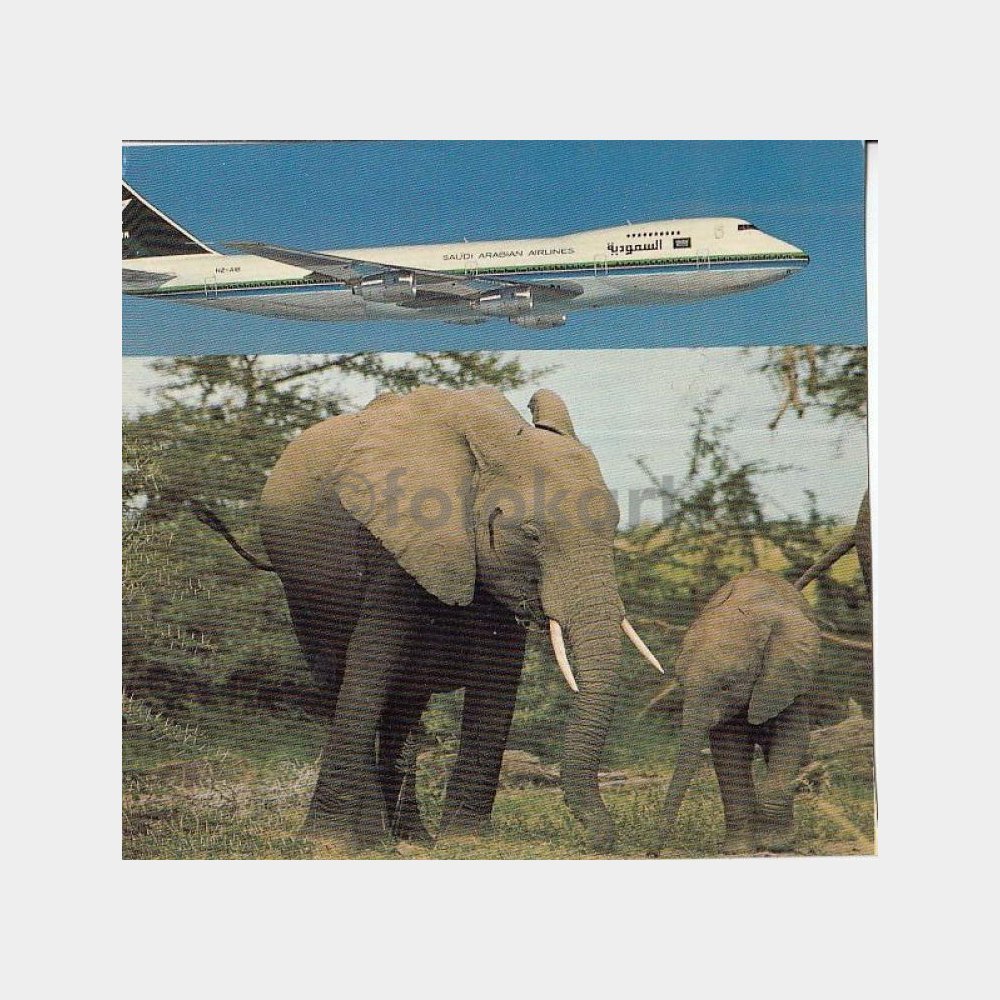 Saudi Havayolları Uçak Kartpostal