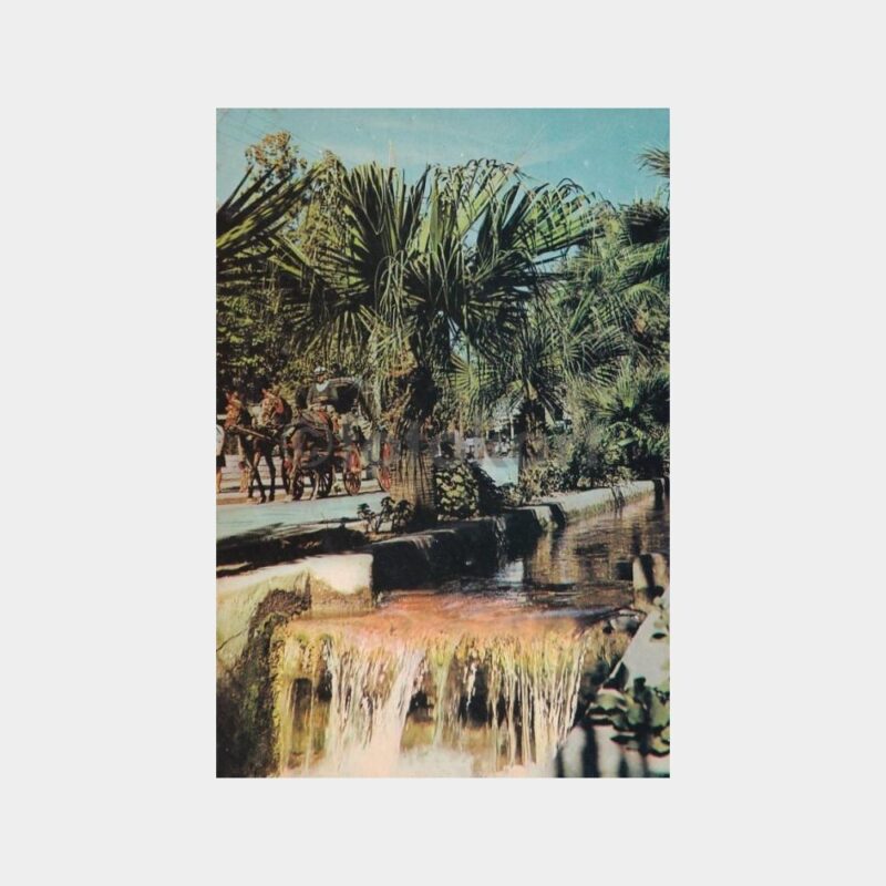 antalya-park