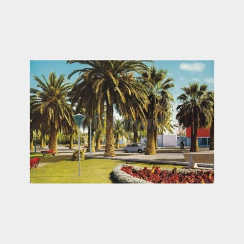izmir-fuar-palmiye