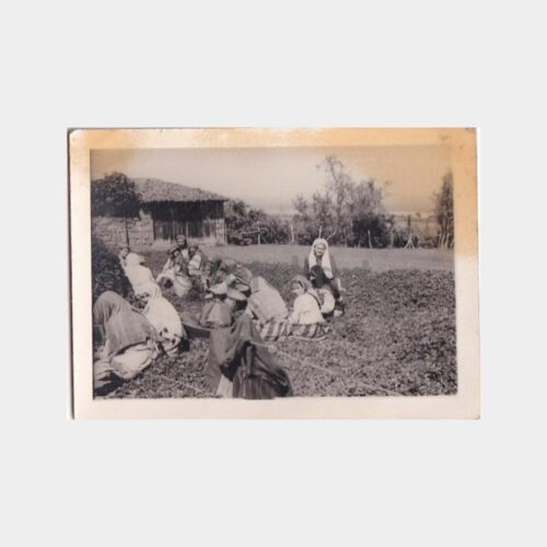 karadeniz-findik