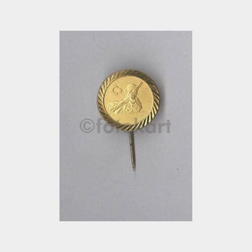 Mehmetçik Konulu Rozet