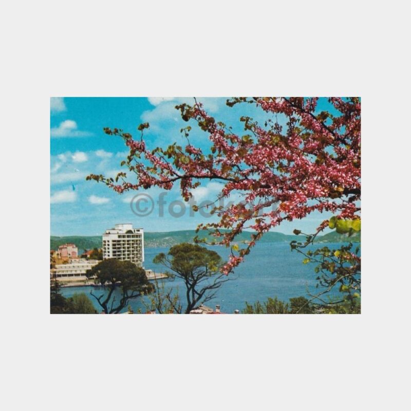 bogazici-tarabya