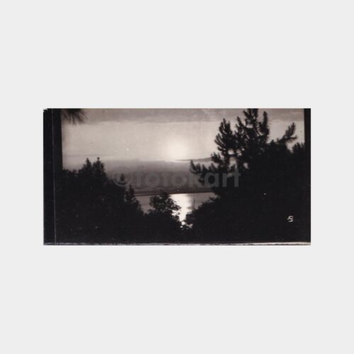 adalar-tebrik