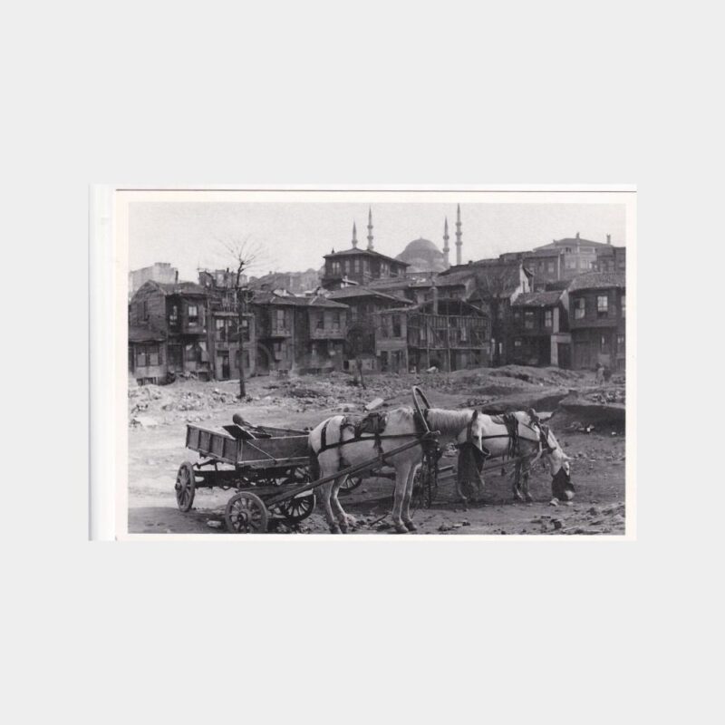 ara-guler-10