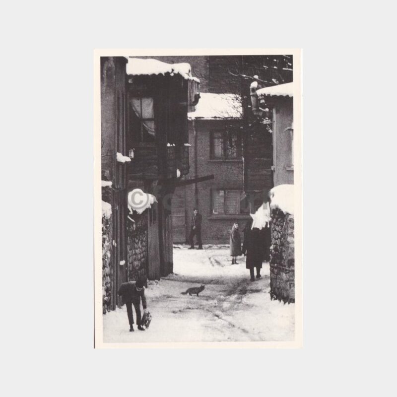 ara-guler-12