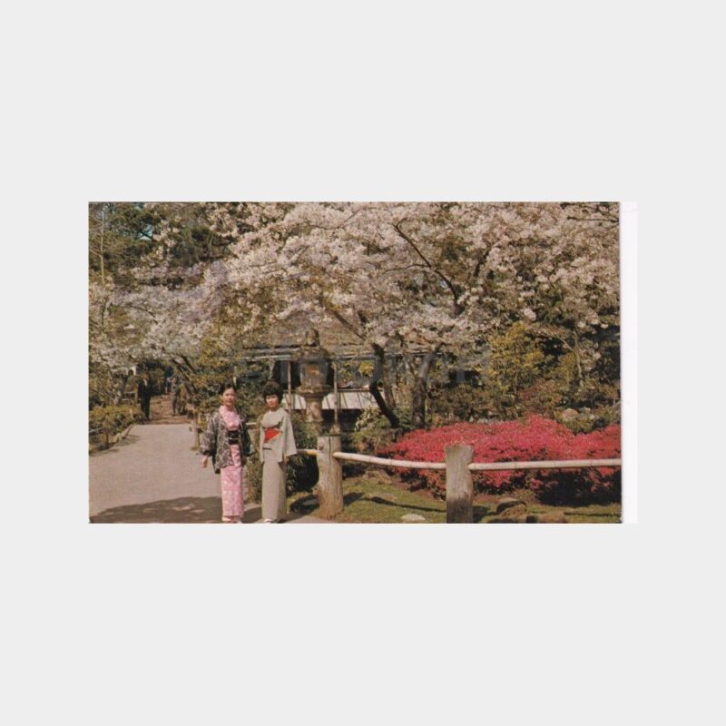 japon-bahcesi