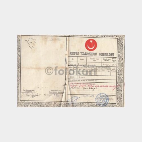 Kırklareli İğneada Eski Tapu Belgesi