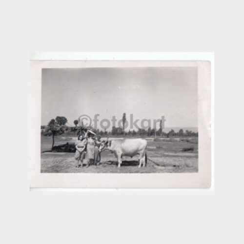 Anadolu Çiftlik Yeri Konulu Fotoğraf