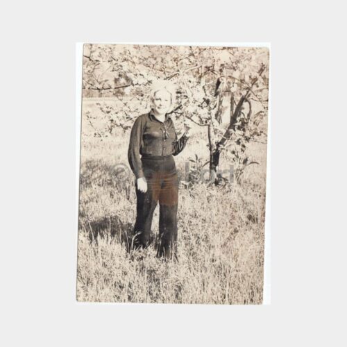 1960 Yılı Meyva Ağacı-Kadın Konulu Fotoğraf