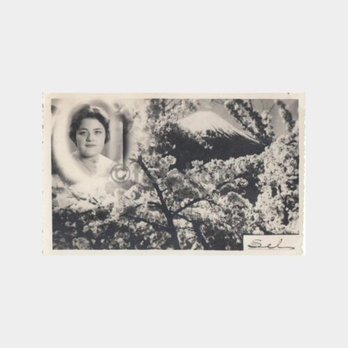 1961 Foto Sel - Kadın Portre Dağ Sembol Fotoğraf