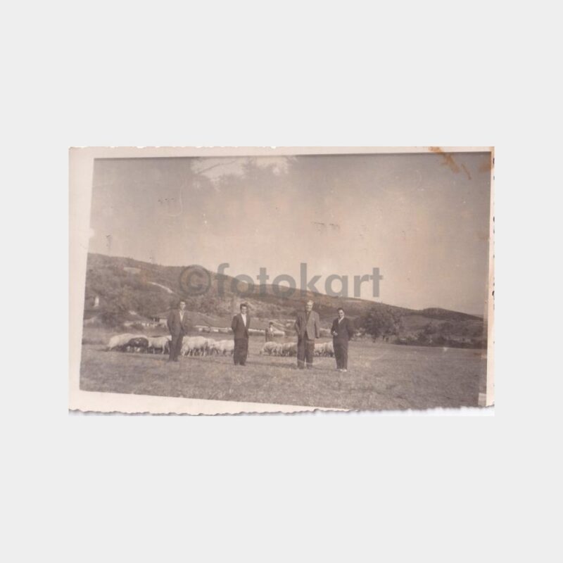 sakarya-kuzuluk
