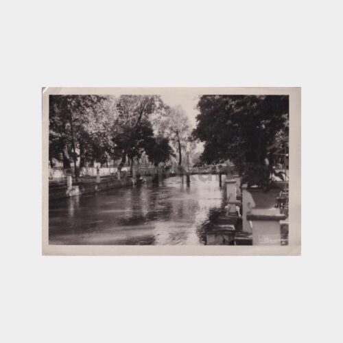 adapazari-cark
