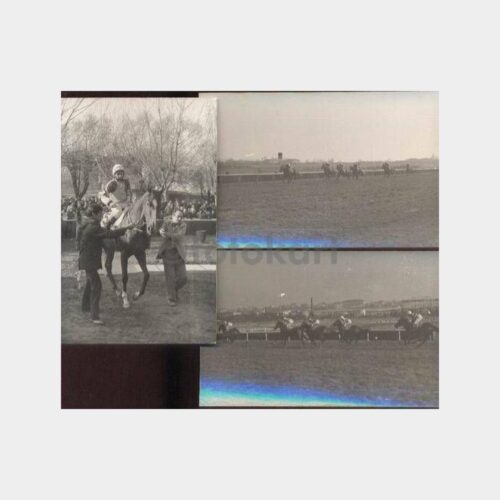 At Yarışı 3 Adet Fotoğraf