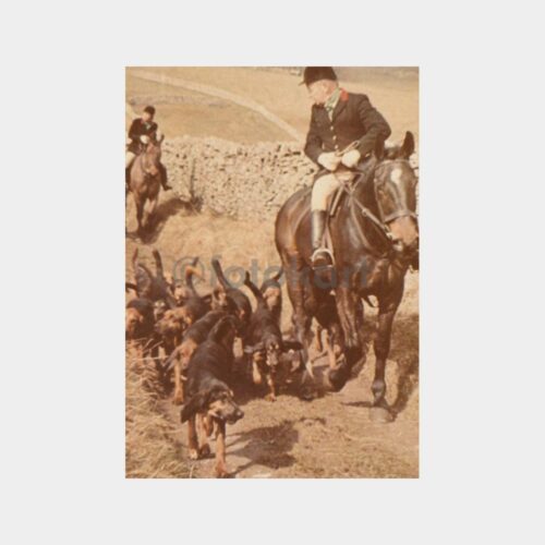 Av ve Avcılık - Sürek Avı Konulu Fotoğraf